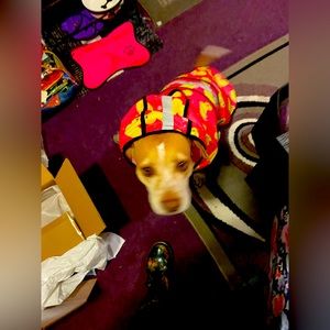 Meet your Posher, Cheryl